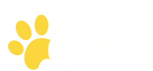 logo samuel castro